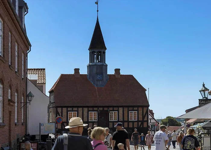 別荘 84245-ebeltoft-sneppestien-16